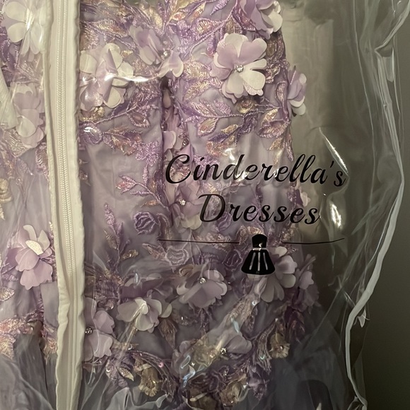 Stunning Lilac Quinceanera/ Prom Dress - Picture 4 of 8